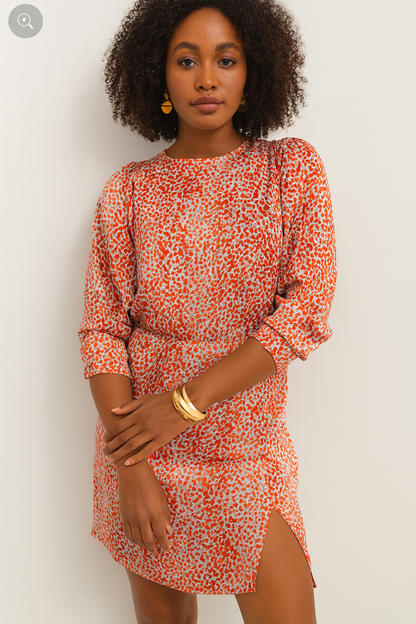 Red Leopard Print Long Sleeve Hollowed Back Dress