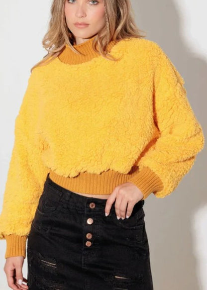 Fuzzy Mock Neck Turtle Neck Teddy Crop Sweater